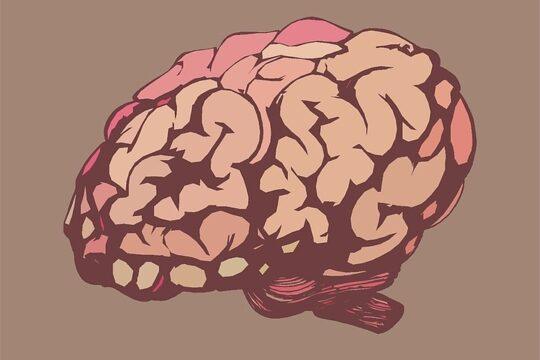 neurodydaktyka