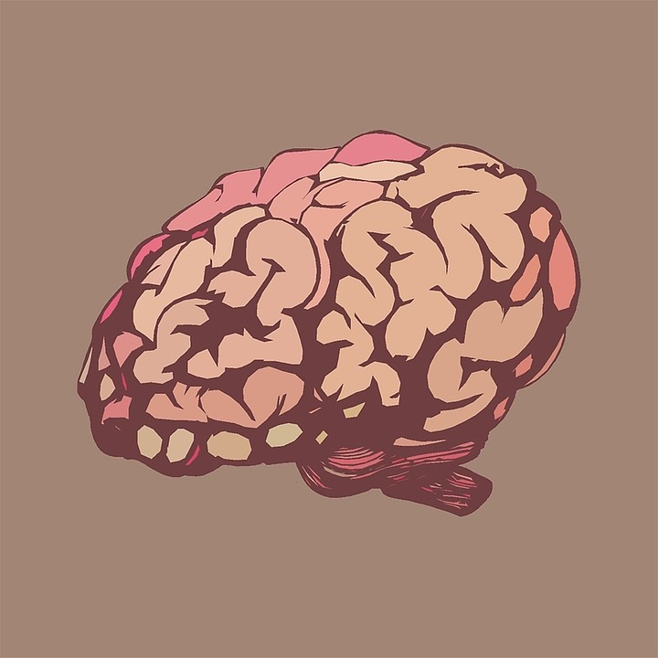 Neurodydaktyka – jak wykorzystać wiedzę o mózgu do skutecznego uczenia się