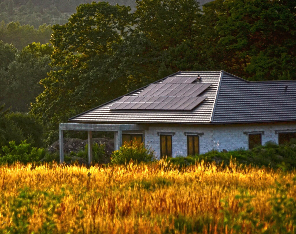 Jakie zwierzęta zagrażają instalacjom PV i co można z tym zrobić